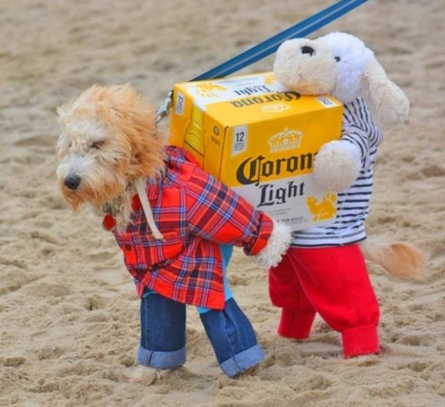 Awesome Pictures (45 pics)