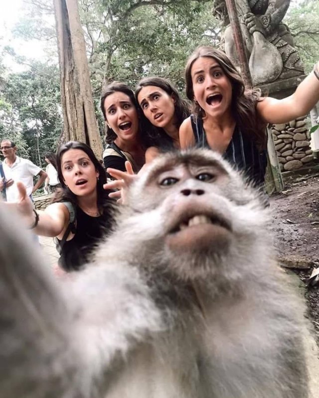 Acid Picdump. Part 1 (96 pics)