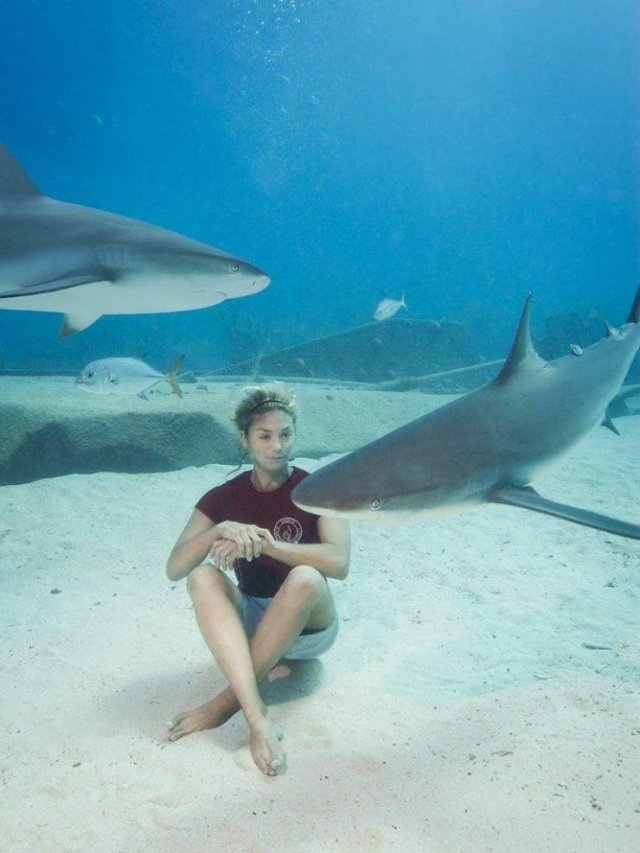 Acid Picdump. Part 1 (96 pics)
