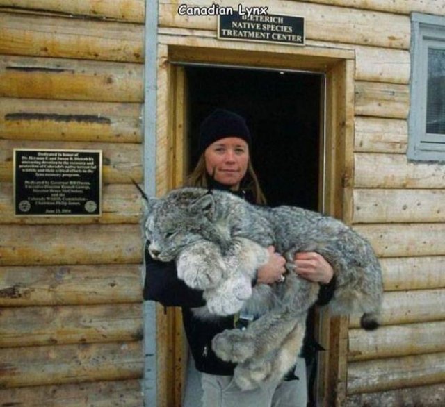 Acid Picdump. Part 1 (96 pics)