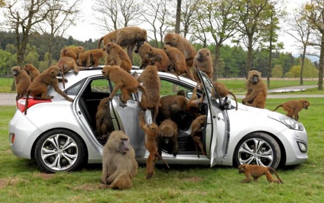 Acid Picdump. Part 1 (96 pics)