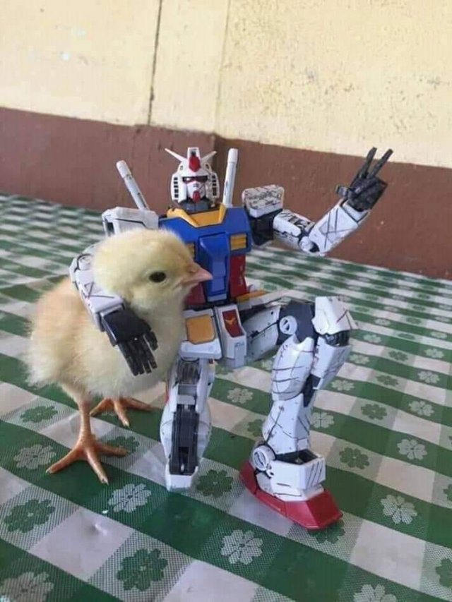 Acid Picdump. Part 1 (96 pics)