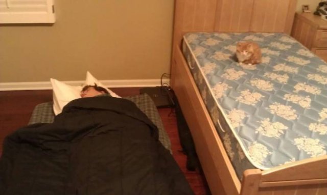 Acid Picdump. Part 1 (96 pics)