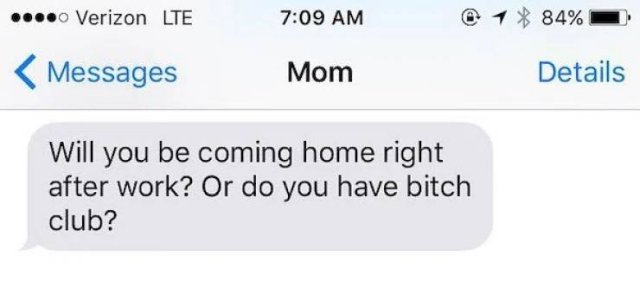 Mom Jokes (25 pics)