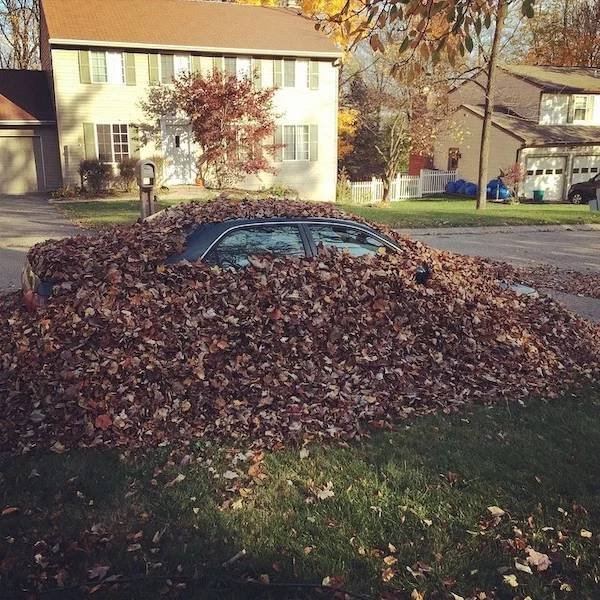 Mom Jokes (25 pics)