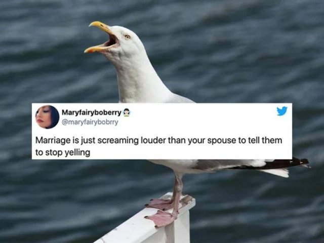 Marriage Tweets (25 pics)