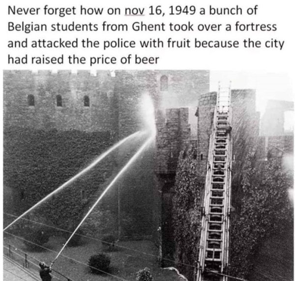 History Memes (38 pics)