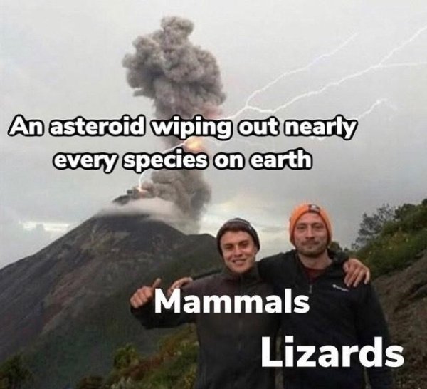 History Memes (38 pics)