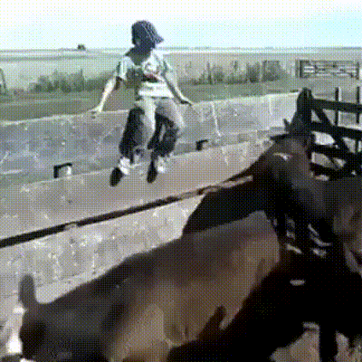 Acid Gifdump, August 18 (25 gifs)