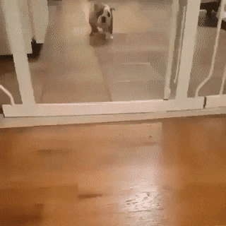 Acid Gifdump, August 18 (25 gifs)