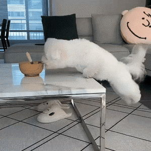 Acid Gifdump, August 18 (25 gifs)