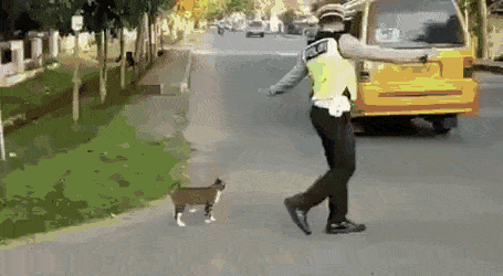 Acid Gifdump, August 18 (25 gifs)
