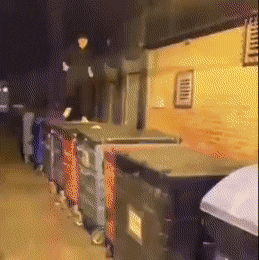 Acid Gifdump, August 18 (25 gifs)