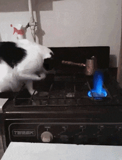 Acid Gifdump, August 18 (25 gifs)