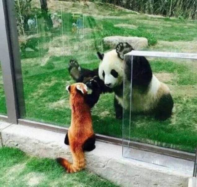 Acid Picdump. Part 2 (93 pics)