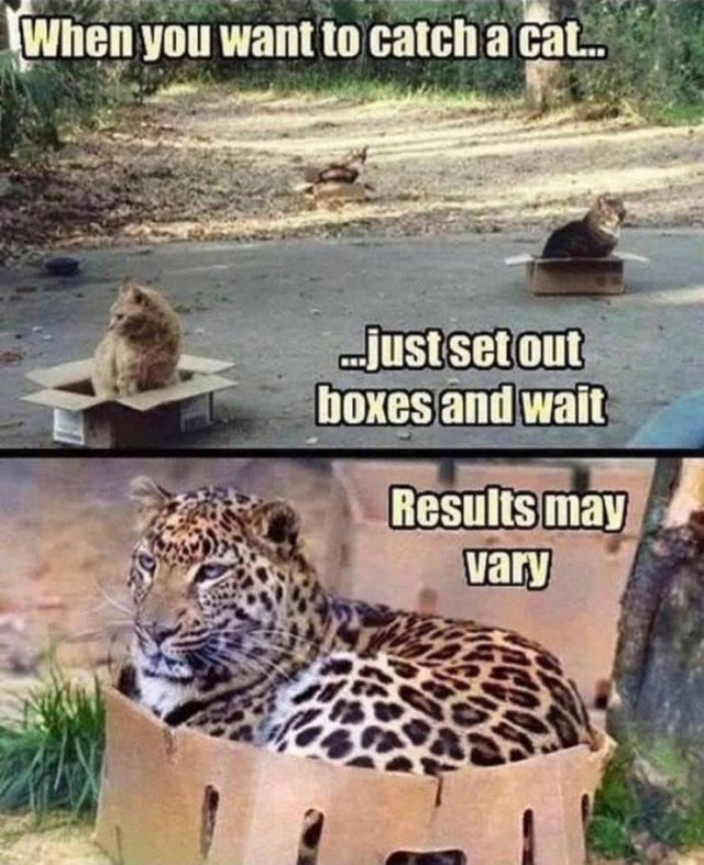 Acid Picdump. Part 2 (93 pics)