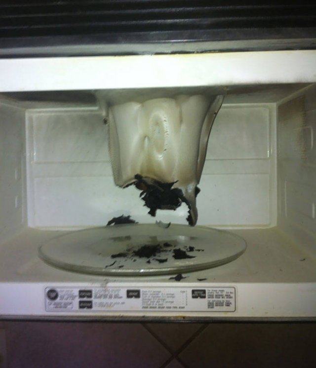 Don't Do Such Things With Microwave (47 pics)