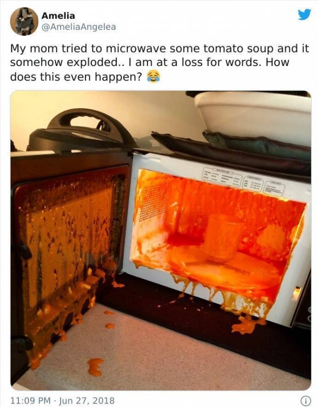 Don't Do Such Things With Microwave (47 pics)