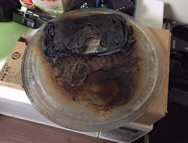 Don't Do Such Things With Microwave (47 pics)