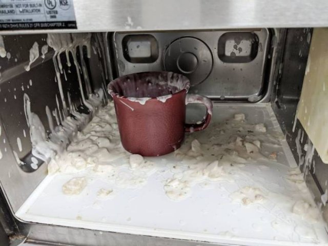 Don't Do Such Things With Microwave (47 pics)