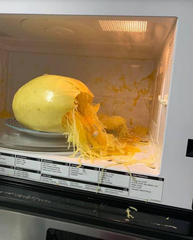 Don't Do Such Things With Microwave (47 pics)