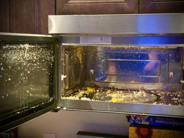 Don't Do Such Things With Microwave (47 pics)