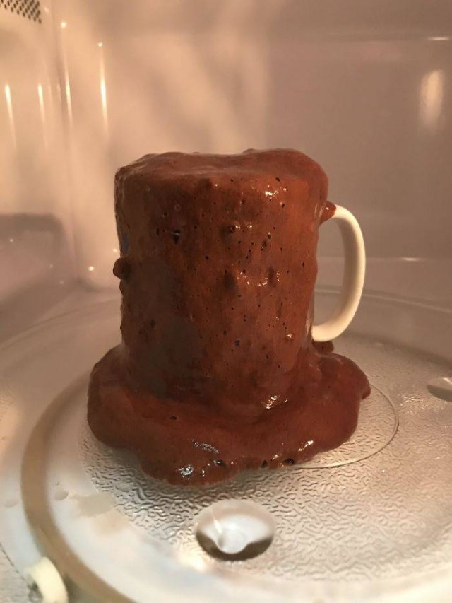 Don't Do Such Things With Microwave (47 pics)