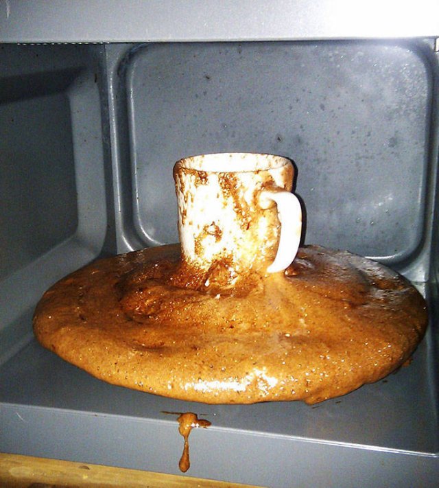 Don't Do Such Things With Microwave (47 pics)