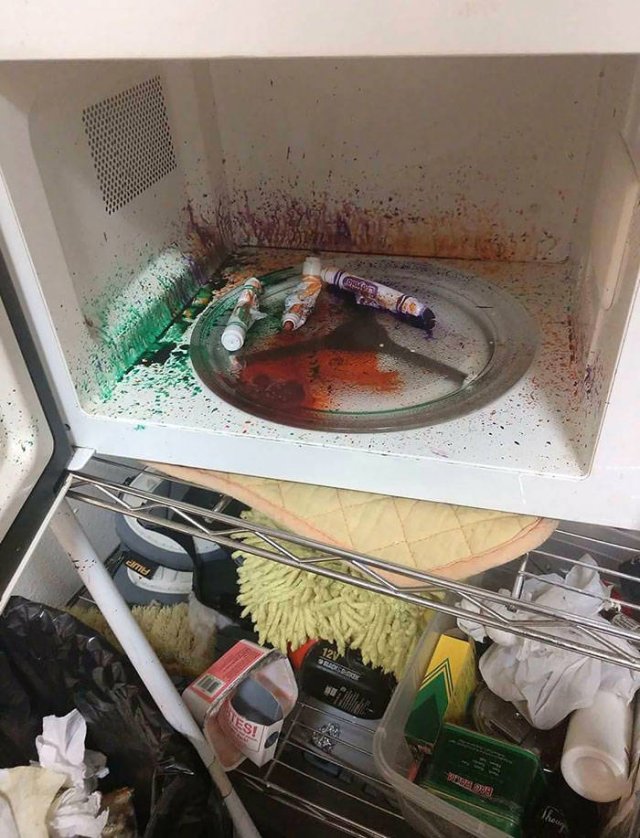 Don't Do Such Things With Microwave (47 pics)