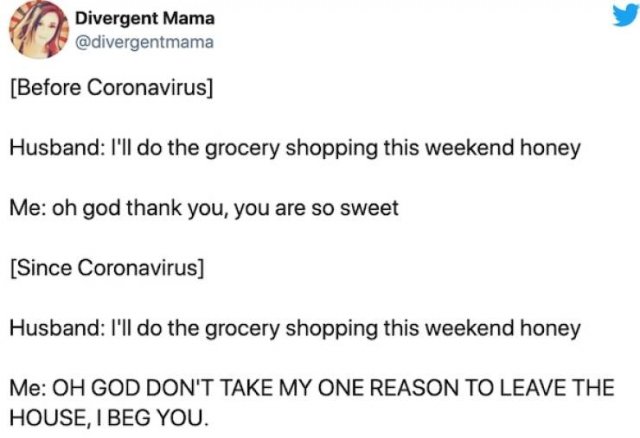 Quarantine Shopping Tweets (29 pics)