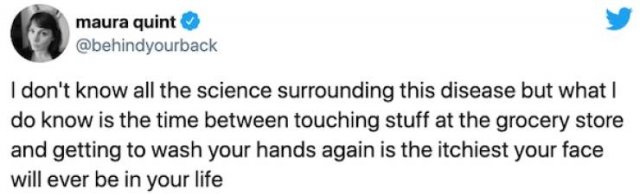Quarantine Shopping Tweets (29 pics)