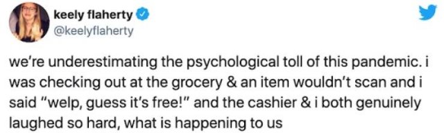 Quarantine Shopping Tweets (29 pics)