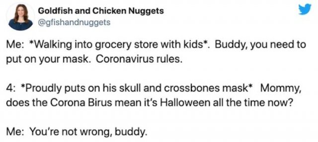 Quarantine Shopping Tweets (29 pics)