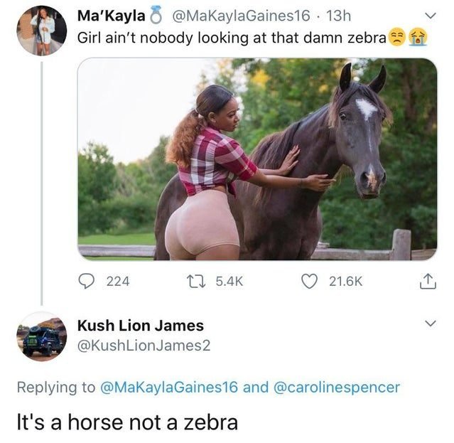 Stupid Comments (30 pics)