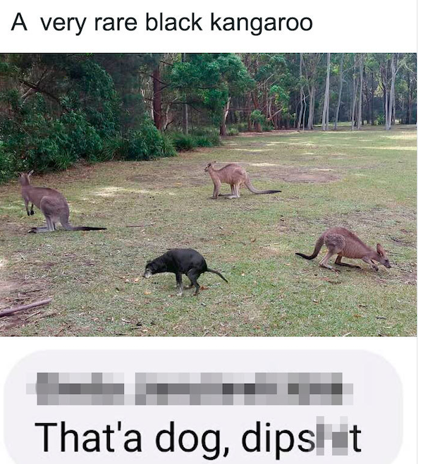 Stupid Comments (30 pics)