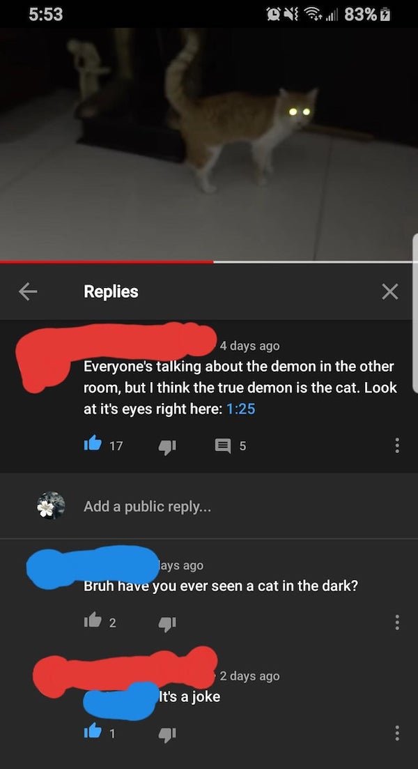 Stupid Comments (30 pics)