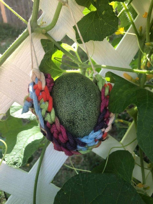 These People Are Real Masters In Gardening (24 pics)