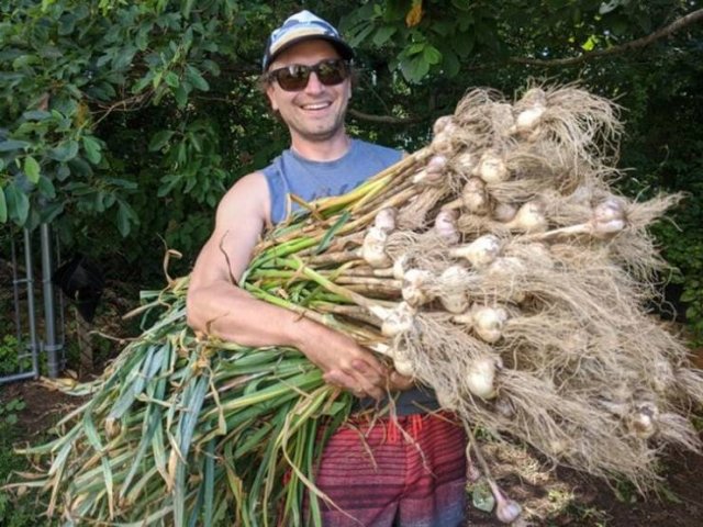 These People Are Real Masters In Gardening (24 pics)