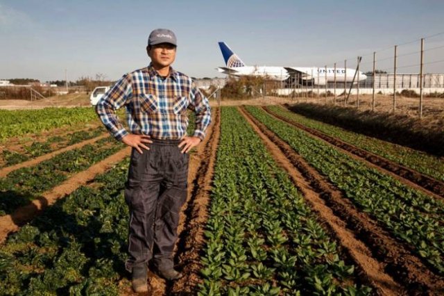 Japanese Farmer That Lives In The Middle Of An Airport (6 pics)