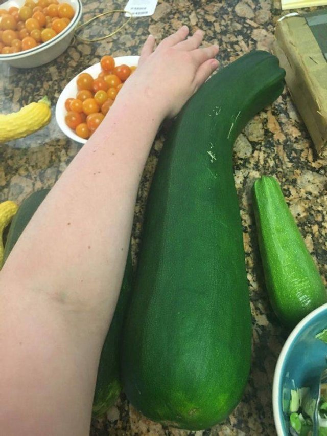 These People Are Real Masters In Gardening (24 pics)