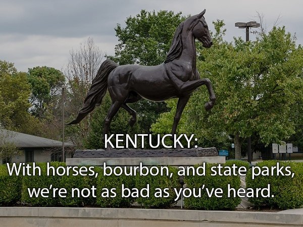 Honest State Slogans (49 pics)