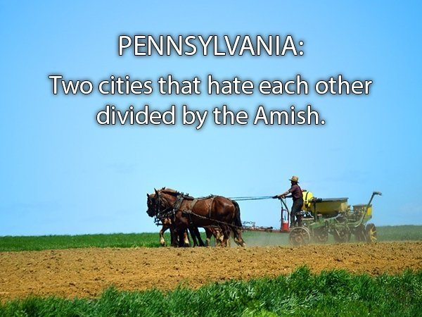Honest State Slogans (49 pics)