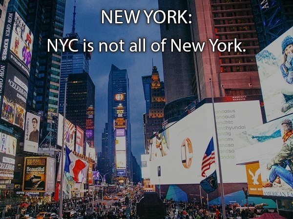 Honest State Slogans (49 pics)