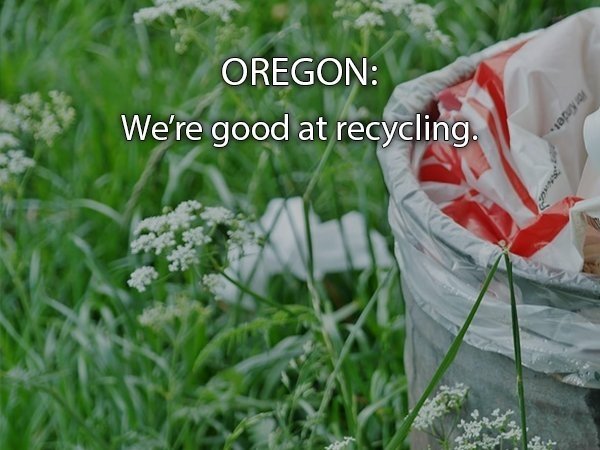 Honest State Slogans (49 pics)