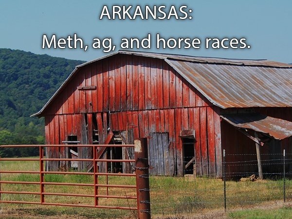 Honest State Slogans (49 pics)