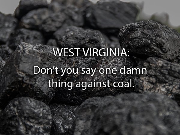 Honest State Slogans (49 pics)