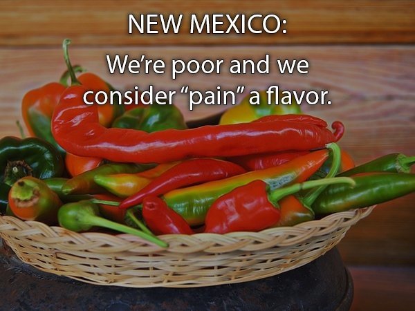Honest State Slogans (49 pics)