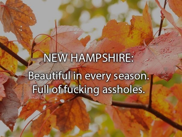 Honest State Slogans (49 pics)