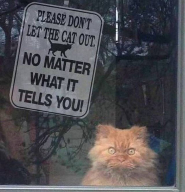 Acid Picdump. Part 2 (94 pics)