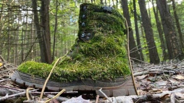 Acid Picdump. Part 2 (94 pics)
